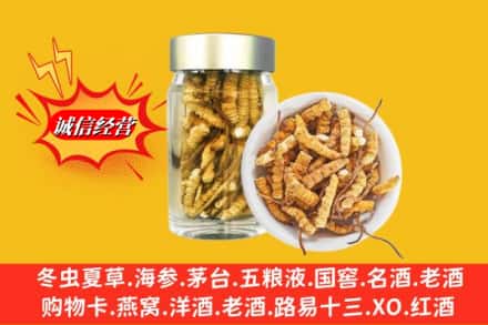 营口市盖州回收散虫草
