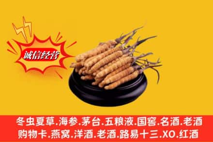 营口市盖州求购回收虫草多少钱每克